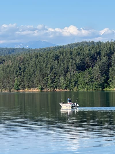 A wide shot captures a tranquil scene on the Pasarel Lake, near the village of Dolni Pasarel, Bulgaria. The lake's surface, rippled by a gentle breeze, reflects the surrounding lush green forest that blankets the hills. In the distance, majestic mountains with snow-capped peaks pierce a clear blue sky dotted with fluffy white clouds. A small fishing boat, powered by an outboard motor, glides across the water, its two occupants engaged in the activity of fishing. The boat is adorned with colorful decals, and fishing rods are visible, poised for action. The overall impression is one of peaceful serenity and outdoor recreation amidst breathtaking natural beauty.