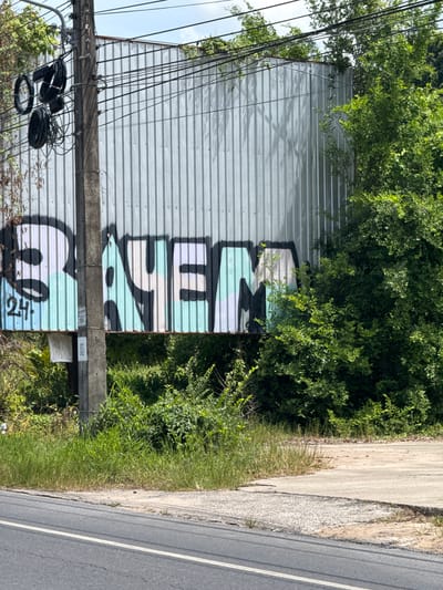 The image shows a corrugated metal wall with graffiti on it. The graffiti appears to spell out "BAYEM" in large, bold letters with a black outline. The letters are filled with light blue and light green colors. There is also some smaller text that says "24" and some other markings. To the left of the wall is a concrete pole with wires and cables attached to it. The pole has some labels on it, including "07" and "316". The wall is surrounded by lush green vegetation, including trees and bushes. In the foreground, there is a road with a white line marking the lane. The sky is visible in the upper part of the image and appears to be overcast. The scene suggests an outdoor location in a somewhat overgrown urban or semi-urban environment.