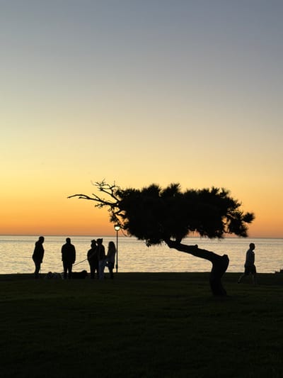 Silhouetted figures walk along a grassy bank by the sea at sunset. A solitary, leaning tree dominates the scene, its dark form contrasting with the vibrant gradient of the sky. People and dogs are visible along the shoreline and on the grass. The water reflects the colors of the sunset, creating a peaceful, dusky ambiance.