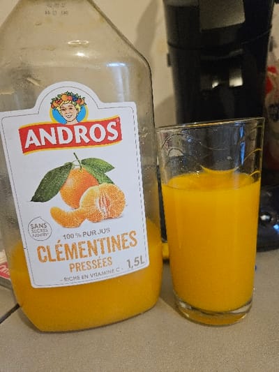 This scene, located in a residential setting within Villeneuve-Saint-Georges, France, depicts a clear plastic 1.5-liter bottle of Andros "Clémentines Pressées" (pressed clementine juice) positioned next to a clear glass tumbler filled with the same orange-colored juice. The bottle's label, featuring the "ANDROS" brand name, a figure with a fruit crown, and an illustration of whole and peeled clementines, indicates "100% PUR JUS" (100% pure juice), "SANS SUCRES AJOUTÉS" (no added sugars), and "RICHE EN VITAMINE C" (rich in Vitamin C). The bottle is approximately one-third full, while the glass is nearly full to the rim. Both objects rest on a light-colored, possibly tiled or laminated, countertop. In the blurred background, a dark-colored kitchen appliance, possibly a coffee maker, is visible. The immediate environment suggests an indoor kitchen or dining area.