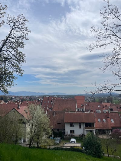 The image shows a view of Škofja Loka, Slovenia. In the foreground are tree branches on either side of the frame, framing the view. The right side of the view is dominated by red-tiled roofs of closely packed buildings, with some greenery interspersed. The left side shows a wide expanse of blue sky with streaks of white clouds. In the distance, beyond the town, there are mountains visible through a haze.