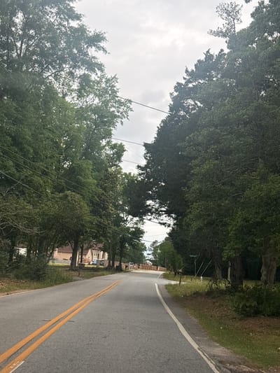 A street in Mountain Park, Georgia, United States of America, is viewed at ground level from one side of the pavement. The asphalt street is gray and has two solid yellow lines dividing it. Lush green trees line both sides of the road, forming a canopy overhead. Buildings are visible behind the trees on the left side of the road. Utility poles and lines are strung along the left side as well. The sky is overcast and gray.