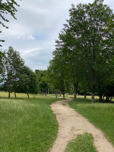 The image depicts a paved path winding through a park-like setting. On the left side of the path, a field of tall green grass stretches out, with several trees sparsely planted within it. On the right side of the path, a dense line of trees forms a boundary, their canopies creating a shaded area. The path itself is a light brown gravel, with some patches of green grass and small puddles indicating recent rain. The sky above is overcast with grey clouds, suggesting a temperate climate. The scene appears to be in a rural or semi-rural area, given the natural landscape and lack of urban development. This particular path is located in the Parc de la Prulay in Boudry, Switzerland, as indicated by an information panel found at the location.