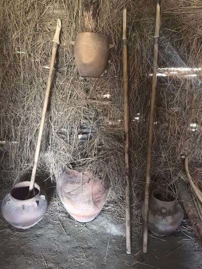 In Камянюцкі сельскі Савет, Belarus, within a rustic dwelling constructed from dried reeds and straw, three wooden spears stand upright. One spear leans against the wall on the left, its tip pointed upwards. Two other spears are positioned side-by-side in the center of the scene, also standing vertically. The dwelling's floor is covered with dirt and scattered straw. Several earthenware pots are displayed: a large pot sits to the left of the spears, another large pot is placed in front of the wall to the right of the first spear, and a smaller pot is visible to the right of the two central spears. A fourth pot, larger than the smallest one but smaller than the two large ones, is positioned on the far left, partially obscured by the standing spear. The background is dominated by the dense thatch of the dwelling's walls.