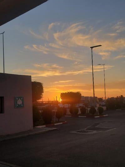 The image captures a vibrant sunset or sunrise scene, viewed from what appears to be a parking lot or industrial area. The overall orientation of the image is landscape, but it is displayed rotated 90 degrees clockwise.
In the upper half of the correctly oriented image, the sky dominates, showcasing a beautiful gradient of colors. The horizon line, on the right side, is illuminated by the low-hanging sun, casting a brilliant orange and yellow glow. This intense light suggests either very early morning or late evening. Streaks of cirrus clouds, elongated and wispy, are spread across the sky, catching the warm light and appearing in various shades of orange, yellow, and soft white against the fading blue of the sky towards the upper left.
The lower half of the image features ground-level elements. On the far left, a dark building or structure partially occupies the foreground, its upper edge angling downwards. A light pole with an extended arm, possibly for a streetlamp, stands prominently against the sky. Further to the right, in the midground, there is a paved road or asphalt surface. A red and white striped curb runs along the right edge of this paved area, bordering a stretch of green foliage and small trees. Beyond these trees, a fence or railing can be discerned, and in the distance, more buildings or structures are silhouetted against the bright sky. Another light pole is visible on the right side of the paved area, taller and more slender than the one on the left.
A notable detail in the lower left quadrant of the image is part of a building wall. On this wall, a green square sign with white pictograms is visible. The sign depicts three stylized human figures, arranged in a triangular pattern, with an arrow pointing outwards from the group, all within a white border. This symbol commonly indicates an emergency assembly point or muster point.
The sun itself is a bright, overexposed orb of light, partially obscured by distant trees and structures, creating a strong lens flare effect and casting warm hues across the scene. The overall mood is serene and atmospheric, characteristic of dusk or dawn.