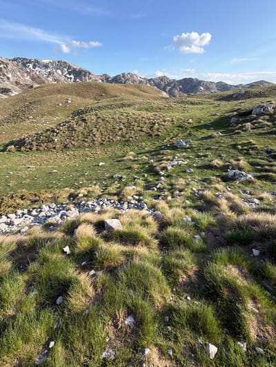 The image depicts a mountain landscape in Boričje, Montenegro. The terrain is characterized by grassy slopes interspersed with rocks and scree. Vegetation includes green grasses and dry, yellowish grass patches. The sky is blue with a few scattered clouds. The mountain ridge is visible in the distance. No people are visible.