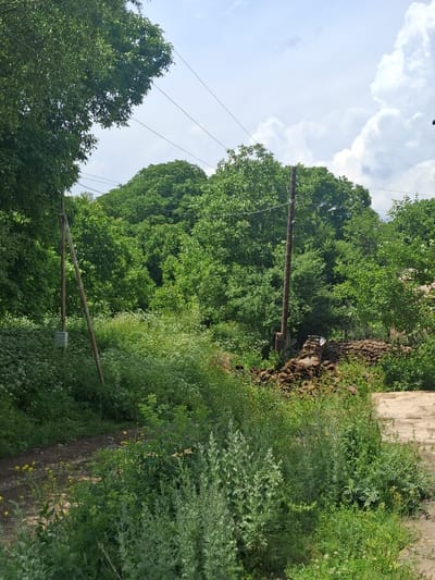 The image depicts a view of a dirt road winding through lush green vegetation and trees, with telephone wires overhead. A wooden utility pole stands on the left, and another on the right supports the wires. A stone wall made of rough, dark rocks is visible in the background. The sky above is partly cloudy with large white cumulus clouds. The scene appears to be located in the vicinity of the village of Martiros, Armenia.