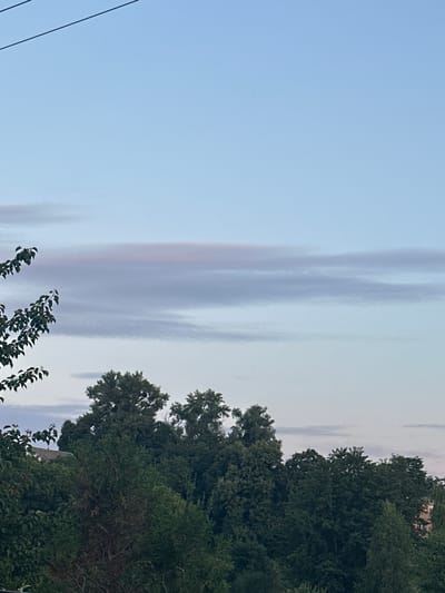The image displays a section of the sky and a treeline in Zvenyhorodka, Ukraine. The sky is a pale blue, with horizontal, wispy clouds present at various altitudes. The lower portion of the image is dominated by a dense canopy of green trees, with some branches of a tree in the foreground on the left side, exhibiting dark green leaves. A hint of a building with a roof is visible amongst the trees on the left. A few taller, lighter green trees are interspersed within the denser foliage. The lighting suggests it is either early morning or late evening.