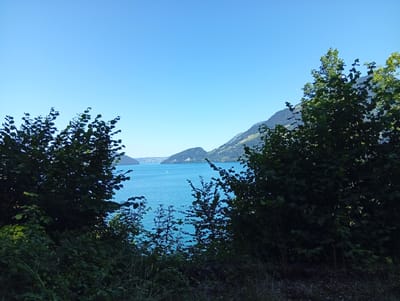 The image captures a scenic view of Lake Lucerne in Beckenried, Switzerland, under a clear blue sky. The foreground is dominated by lush green foliage and trees, framing a picturesque vista of the turquoise water. In the distance, rolling hills and mountains rise from the lake's edge, with a town visible on the far shore. A few small boats are scattered across the water, adding a touch of tranquility to the scene. The overall impression is one of natural beauty and peacefulness.