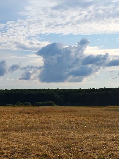 The image shows a field of dry, golden stubble in the foreground, suggesting a harvested crop. In the middle ground, a dense, dark green forest forms a horizontal line across the frame. The sky above is a light blue, filled with a variety of clouds, some wispy and white, others larger and darker gray, with one prominent, somewhat anthropomorphic cloud formation. This scene is located in the village of Matiashivka, Ukraine. There are no people or animals visible in the image, and no specific actions or interactions are depicted. The environment is rural and agricultural.