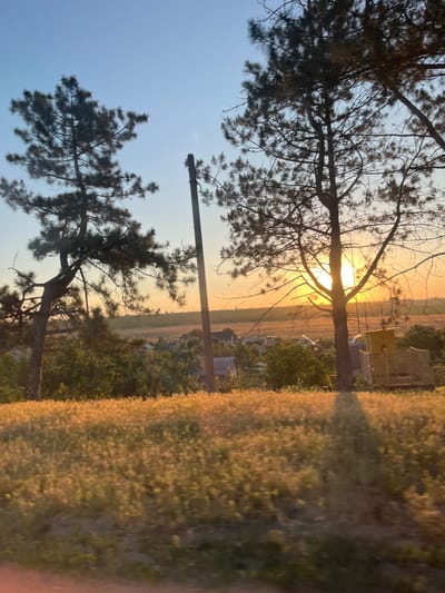 The image captures a rural landscape at sunset, likely in Karagash, Moldova, as indicated by the provided context. In the foreground, a field of dry, golden grass is bathed in the warm light of the setting sun. Tall, slender pine trees are prominent on the left and center, with their branches silhouetted against the bright sky. A wooden utility pole stands near the center of the frame. In the middle ground, a small village is visible, with houses featuring gray roofs nestled among green trees. The sunset casts a warm, orange glow across the sky and illuminates the distant fields. The scene conveys a sense of tranquility and the end of a day in the countryside.