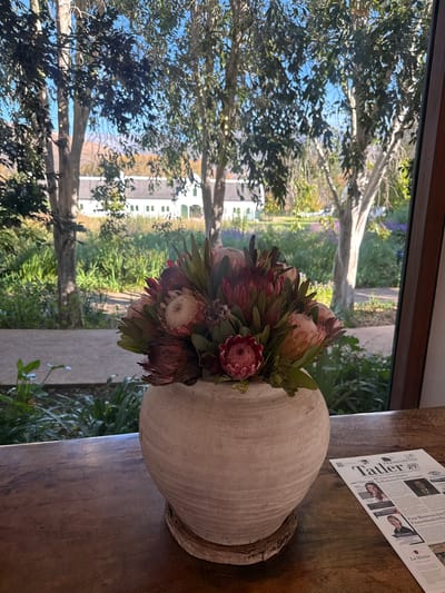 The image shows an indoor scene with a view to the outside, likely taken in or near Stellenbosch, South Africa. A large, round, rustic vase filled with protea flowers sits on a dark wooden surface. A newspaper, titled "Tatler," partially covers the surface next to the vase, with the words "FRANSCHHOEK," "Stellenbosch Property Leases," and "La Motte" visible. Through a window, a view of trees, green foliage, and a white building can be seen, suggesting a garden or estate setting. The overall atmosphere is calm and natural.