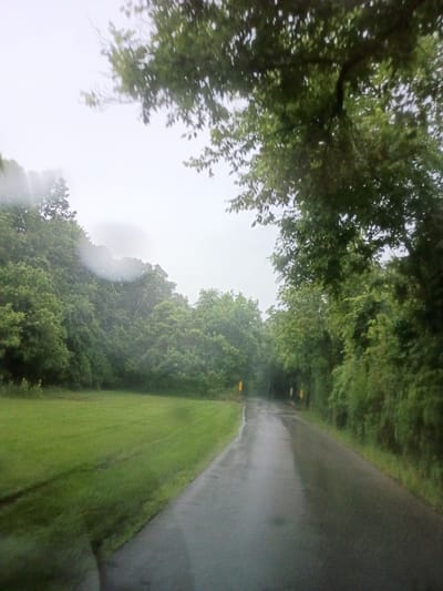The image depicts a wet asphalt road winding through a lush, green environment on an overcast day. The road surface is slick, reflecting the muted light, indicating recent or ongoing rain. Dense trees and foliage line both sides of the road, creating a tunnel-like effect. In the distance, the road curves to the left, disappearing into the green landscape. Yellow signs are visible on the left side of the road, suggesting a rural or park setting. The sky is uniformly gray and hazy, contributing to the subdued lighting. The scene appears to be a scenic drive through a heavily wooded area. Given the context, this location could be in Frankfort, United States, known for its natural beauty and tree-lined roads.