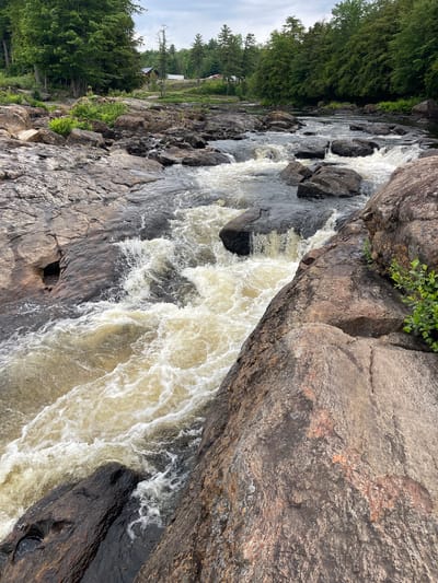 An aerial perspective showcases a moderately sized river flowing through a rocky, natural landscape. The river, appearing somewhat turbid with a yellowish-brown hue, cascades over dark, wet rocks, creating whitewater rapids and froth. The banks of the river are lined with a mixture of large boulders and smaller rocks, with patches of green vegetation, including ferns and small bushes, growing amongst them. In the background, a dense forest of green trees dominates the horizon, with a sliver of overcast sky visible above. The scene appears to be located in a rural or natural area, possibly within or near the Village of Lyons Falls, United States of America, given the context of its setting. There are no people or man-made structures immediately visible in the immediate vicinity of the river, though faint hints of buildings can be seen in the distant background, nestled within the treeline.
