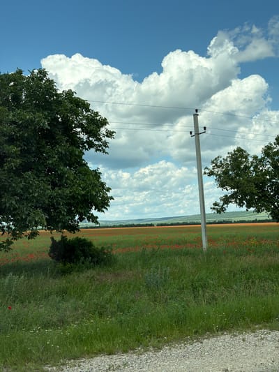 The image depicts a landscape scene in Ciocîlteni, Moldova, characterized by a vast field of red poppies under a partly cloudy sky. In the foreground, tall green grass and a gravelly path are visible. A prominent concrete utility pole with electrical insulators stands off-center, supporting power lines that stretch across the frame. To the left and right, mature green trees frame the view. Behind the foreground grass, the extensive poppy field extends towards a distant, tree-lined horizon. The sky is a bright blue, dotted with fluffy white cumulus clouds. The overall impression is of a rural, scenic environment on a clear day. There are no people or animals visible in the image.