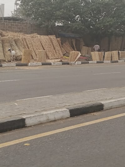 The scene depicts a roadside area in Kofar Mazugal, Nigeria, under hazy atmospheric conditions. In the foreground, an asphalt road with a single yellow solid line is visible on the left, bordered by a concrete curb painted in alternating black and white sections. Behind the curb, a grey concrete sidewalk extends across the image.
The midground features a large quantity of dried, light brown, fibrous plant material, likely bundles of mats or thatch, stacked and arranged along the roadside. Some bundles are cylindrical, while others are flat and rectangular, positioned vertically or leaning against structures. On the left, a white goat with dark markings on its head stands on the sidewalk amidst the bundles. Behind the goat, an unfinished or dilapidated brick wall is partially visible. Further to the right, beneath a large tree with dense green foliage, a makeshift shelter or stall is present, identifiable by a blue tarp. One individual is situated near this shelter, appearing to be seated or working among the bundles. This person wears a light-colored top with a dark number "1" prominently displayed on the back. The background consists of a hazy sky, with distant, indistinct vegetation and structures.