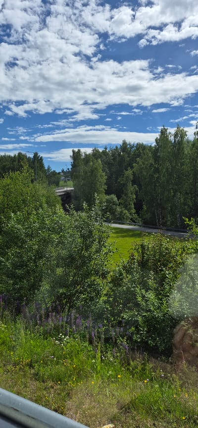The media file displays a sunlit, natural scene. The sky is a vibrant blue, filled with fluffy white clouds. To the left, a dense line of green trees forms a backdrop. A paved road or path is visible cutting through a grassy area, with more trees and vegetation bordering it. In the foreground, to the right, a lush green meadow is dotted with small wildflowers, including purple lupine and yellow dandelions. The overall impression is of a bright, pleasant day in a rural or park-like setting. There are no people or specific objects that stand out, beyond the natural elements of the landscape. The light suggests it is daytime, likely during the warmer months. The visual information and the provided location context suggest this scene is in Moelv, Norway. There is no visible text in the image.