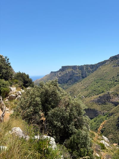 A panoramic view of a rugged, mountainous landscape under a clear blue sky. In the foreground, lush green trees and vegetation, including tall grasses and rocks, are visible on a steep incline. A wooden railing can be seen on the left side of the frame, suggesting a path or viewpoint. Beyond the foreground, the landscape opens up to reveal a deep valley with steep, rocky sides covered in green scrub and trees. In the distance, the blue expanse of the sea is visible, framed by the slopes of the mountains. The scene is bathed in bright sunlight, indicating a clear day. The image appears to capture a natural, scenic location, possibly a nature reserve or a hiking trail, and aligns with the geographical features of the region around Noto, Italy, known for its dramatic coastal and inland topography.