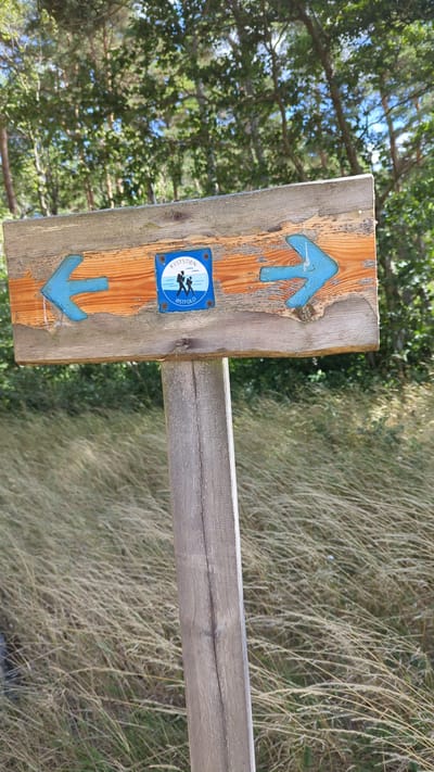 A wooden signpost with a weathered plank displays two blue arrows, one pointing left and the other right. Centered between the arrows is a small blue and white square sticker with a symbol depicting two hikers, a dog, and waves. The sticker also has text that reads "KYSTSTIEN" above and "ØSTFOLD" below. The signpost is set in a natural environment with dry grass in the foreground and trees with green foliage in the background, under a bright sky. The signpost is located in Larkollen, Norway.