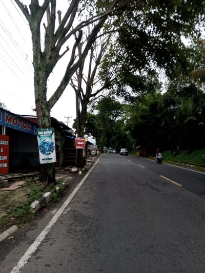 The image displays a two-lane asphalt road under an overcast sky, located in the city of Vaatharawattai, Sri Lanka. On the left side, a concrete curb separates the road from a dirt path and a commercial building. This single-story building has a blue facade with partially visible white text including "MOTOR" and "WARKOP & STEAM MOTOR". In front of the building, two trees with prominent, bare branches and visible moss or lichen on their trunks stand beside the road. The leftmost tree features a vertical white banner with a blue graphic of a vehicle being washed and the text "CUCI MOTOR". The second tree displays a red rectangular sign with a white left-pointing arrow and the text "STEAM" and "WARKOP". Overhead power lines are visible in the upper left. On the right side of the road, a steep, grassy embankment is densely covered with dark green trees and foliage, extending into the background. Vehicles are present on the road: in the distance, a dark-colored sedan and other vehicles proceed away from the viewer. Closer to the foreground on the right lane, a person rides a blue motorcycle, also moving away from the viewer. A small orange structure is visible on the right roadside further down the road.