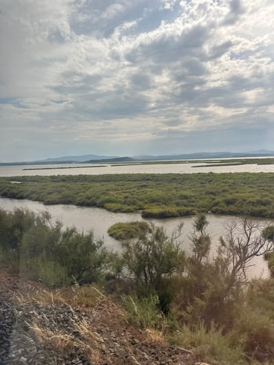 The image shows a wide shot of a natural landscape, likely a salt marsh or lagoon, in Narbonne, France. The foreground features dense green and brown vegetation and what appears to be gravelly terrain, suggesting a roadside or embankment. Beyond this, calm water reflects the overcast sky, which is filled with a mix of gray and white clouds. The water is interspersed with large, flat expanses of lush green reeds or marsh grass. In the distance, a hazy line of low, rolling hills can be seen against the horizon. There are no people or animals visible in the frame. The overall scene depicts a tranquil, natural environment.