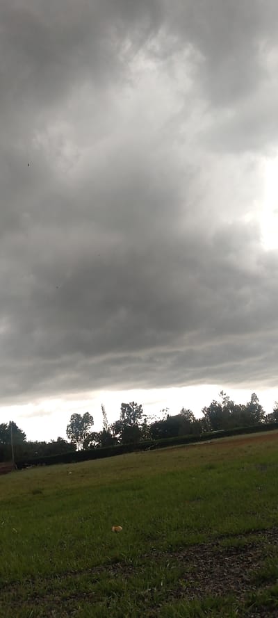 The image depicts an open field under a heavily overcast sky in West Sakwa ward, Kenya. The sky, occupying the upper two-thirds of the frame, is dominated by dense, dark grey clouds, with a brighter, hazy band of light visible along the distant horizon. Several small, dark specks, consistent with birds, are visible against the cloud cover. A continuous line of trees and dense green foliage forms the midground, separating the sky from the foreground. A distinct, light-colored, vertical object, possibly a pole or a dead tree trunk, rises from within the treeline slightly left of center. The foreground consists of a green grassy field, with darker patches of exposed soil or sparse vegetation, particularly in the lower right. A single, crumpled, light-brown or yellowish object, likely litter, is situated on the grass in the lower-middle portion of the field. No people are present, and no specific actions or interactions are observed.