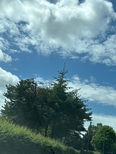 The image depicts a partly cloudy sky over Chester, United Kingdom. In the foreground, a line of evergreen trees and shrubbery are visible along a roadside. Overhead power lines run through the trees. The sky is blue with scattered white cumulus clouds.