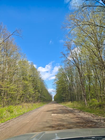 The image shows a dirt road leading through a forest on a sunny day. The sky is blue with scattered white clouds. Trees line both sides of the road, displaying early spring foliage. The road surface is uneven with patches of light and shadow. The bottom of the image shows the hood of a vehicle, suggesting the photo was taken from inside a car. The location, Khrinivka, Ukraine, is not evident from the image itself. There are no people visible.