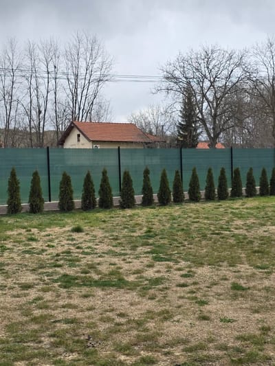 This image depicts an outdoor scene in Vojnik, North Macedonia, under an overcast grey sky. The foreground consists of sparse, dry grass interspersed with small patches of greener vegetation. In the midground, a row of thirteen uniformly conical evergreen trees, each approximately 1.5 meters in height, is precisely aligned. Behind these trees, a fence structure is present, composed of dark vertical posts supporting a light green, semi-translucent mesh screen. Beyond the fence, multiple residential buildings with reddish-brown tiled roofs are visible. One prominent light-colored house exhibits an external air conditioning unit on its side. The background features numerous bare deciduous trees, indicative of a dormant season. Several parallel power lines traverse horizontally across the upper portion of the frame. No individuals are visible.