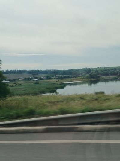 A blurry, daylight, exterior shot captures a rural landscape in the city of Sheino, Russia. The foreground is dominated by a gray, metal guardrail and a section of asphalt road with white markings, indicating a highway or similar thoroughfare. Beyond the road, a wide, calm body of water stretches across the midground, reflecting the overcast sky. The shoreline of the water is lined with dense green reeds and grasses. Further in the background, a rolling, verdant landscape unfolds, dotted with scattered houses and trees. The overall impression is one of a tranquil, undeveloped rural setting, viewed from a moving vehicle.