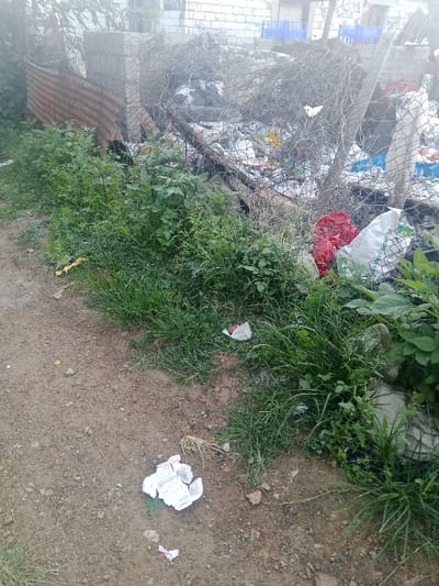 A scene depicts roadside pollution. A dirt path with scattered litter like a crumpled paper cup leads towards a wire fence overflowing with trash. The garbage includes plastic bags, containers, and miscellaneous waste. Overgrown vegetation, a mix of grass and leafy plants, flanks the path and partially obscures the fence and refuse behind it. The setting appears to be an informal, possibly neglected, urban or suburban area.