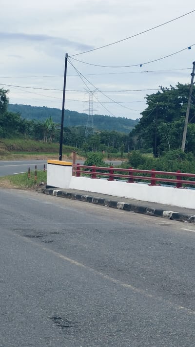 This vertical shot captures a roadside scene in Lonbaroh, Indonesia, under an overcast sky, featuring a road, a bridge barrier, and a natural landscape with infrastructure.
In the foreground, a grey asphalt road with visible wear, including potholes and faint white lane markings, occupies the bottom half of the image. To the right, a white concrete bridge barrier with a distinct yellow top accent and red metal railings separates the road from the surrounding terrain. Black and white striped concrete blocks line the road's edge beside the barrier.
The mid-ground reveals a landscape rich in vegetation. To the left, a section of the road curves slightly. Dense green trees and lush foliage line the roadsides and extend into the distance. Several dark utility poles, laden with a network of power lines, stand prominently, with one tall pole positioned centrally on the left side of the frame.
In the background, rolling hills covered in dense green forest create a natural backdrop. A large, grey metal electricity transmission tower (pylon) is visible on one of the distant hills, connecting to some of the overhead power lines. The sky is largely covered with light grey clouds, indicating an overcast or cloudy day, likely during daytime hours due to the diffused illumination. No people, animals, or vehicles are present, and no visible text can be discerned. The scene presents a blend of human infrastructure within a verdant, natural setting.