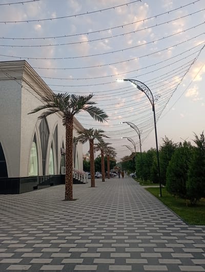 A wide, paved walkway with a geometric pattern of dark gray and light gray rectangular stones extends into the distance. The walkway is bordered on the left by a modern white building with arched windows and decorative trim. Several palm trees, adorned with strings of small lights, are planted along the building's facade. On the right side of the walkway, a grassy area is lined with manicured, dark green evergreen trees. Several lampposts with decorative metalwork are positioned along the walkway, and strings of lights are strung overhead, creating a festive atmosphere. The sky above is a pale blue with scattered clouds, suggesting it is either early morning or late evening. In the background, a few people are walking along the path, and cars are parked along the side of the road. The scene appears to be a public space or a commercial area, possibly a promenade or a street in the city of Termez, Uzbekistan.