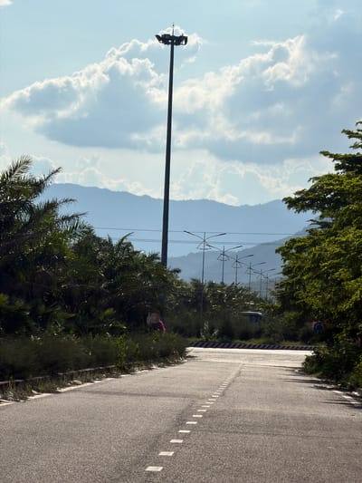 In Cam Lam, Vietnam, this image depicts a road curving towards a barrier on a bright, sunny day. Palm trees and dense greenery line the left side of the road, while a large tree with vibrant green foliage borders the right. In the background, a tall lighting pole stands prominently, with a series of streetlights receding into the distance. Mountains form a hazy silhouette against the sky, which is dotted with fluffy white clouds. A person in a pink garment is partially visible near the palm trees. The road itself is paved and marked with dashed white lines.