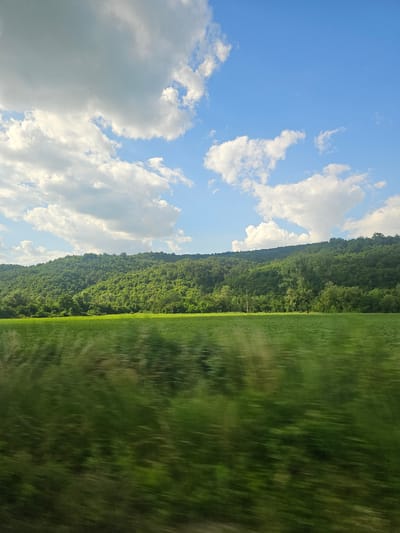 The image depicts a rural landscape under a bright blue sky with fluffy white clouds. The foreground is dominated by a blurred field of vibrant green grass, suggesting motion. Behind the field, a lush, densely wooded hillside rises, covered in various shades of green foliage. A few scattered trees stand out on the lower slopes, and there appears to be a faint power line running horizontally across the mid-ground. The overall scene conveys a sense of natural beauty and tranquility. The location is identified as Vasilkovska mahala, Bulgaria.