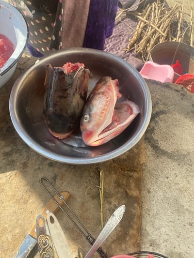 An overhead close-up view depicts an outdoor food preparation scene in Gulbahor, Uzbekistan. Centrally positioned is a silver-colored metal bowl holding three severed fish heads. The head on the left is dark-skinned, possibly from a catfish or large carp, with a clean cut exposing flesh. Two lighter-skinned fish heads, consistent with carp, are stacked on the right, featuring intact eyes and open gill plates. In the upper left quadrant, the rim of a white enamel bowl with a blue edge contains raw red meat or fish. A partially visible individual wearing a dark polka-dotted garment and a purple cloth is in the upper background. To the right, a pile of dried branches, a silver metal bucket, and pink and red plastic containers are visible on a rough ground surface. The lower foreground displays various kitchen utensils on a concrete-like surface, including a wooden-handled knife with heart-shaped metal accents, another metal knife or spatula, a wire utensil, and an ornate silver spoon. Strong natural sunlight illuminates the scene.