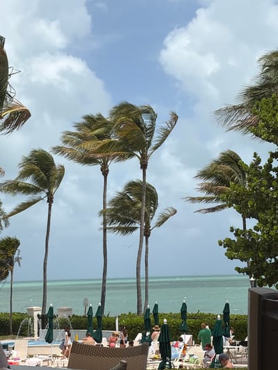 The image shows an outdoor scene in Key Biscayne, United States of America. The camera is positioned at a slight angle, looking toward a coastline. Several palm trees line the view of the ocean and sky, and white, fluffy clouds fill the blue sky. The ocean is a light greenish-blue, and along the shoreline, green umbrellas are visible, interspersed with lounge chairs and people sunbathing and relaxing. There also appears to be a pool.