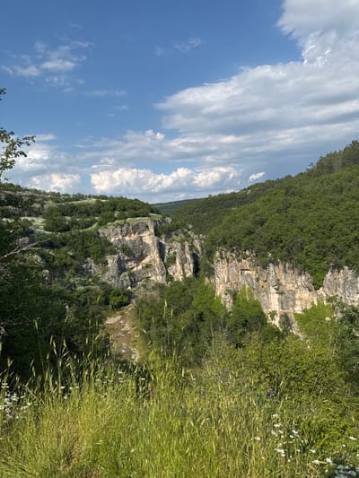 The image depicts a landscape scene in Emen, Bulgaria. A cliff face is visible, covered with vegetation, consisting of trees, bushes, and grasses. The cliff appears to be layered sedimentary rock. The sky is blue with white clouds, and tall grass grows in the foreground.