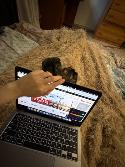 The image provides an overhead view of an indoor setting in Khrenovoye, Russia, featuring a person's hand interacting with digital devices. A person's right hand is poised over a black tablet, with the index finger touching the screen, while an open silver laptop with a Cyrillic keyboard layout sits to its right. Both devices are resting on a thick, fluffy, light brown/beige blanket, likely covering a bed or sofa.

To the left of the tablet, a small dark animal, possibly a cat or puppy, is visible, looking towards the tablet screen. The screens of both devices display web pages with text predominantly in Russian. The tablet screen prominently shows "Пт, 24 апр. 18:09" (Friday, April 24, 6:09 PM), indicating the time and date. The web content appears to be from an online retailer, featuring categories like "ВЕЛОАКСЕССУАРЫ" (Bicycle accessories), "ВЕЛООДЕЖДА" (Bicycle clothing), "СНОУБОРДЫ" (Snowboards), "ГОРНЫЕ ЛЫЖИ" (Skiing/Mountain skis), and "РАСПРОДАЖА" (Sale). A red banner on the tablet advertises "до 50%" (up to 50%) discount, and various brand logos such as "HEAD," "NIDECKER," "JONES," "elan," and "HORN" are visible. Other Russian text includes "Подтвердите, что это вы" (Confirm that it's you) and "Перезапустить и обновить" (Restart and update).

In the background, part of a wooden dresser or cabinet with multiple drawers and a patterned bedspread can be seen, suggesting a bedroom environment. The scene captures a moment of casual, domestic activity, possibly online shopping or browsing, with a pet companion close by.