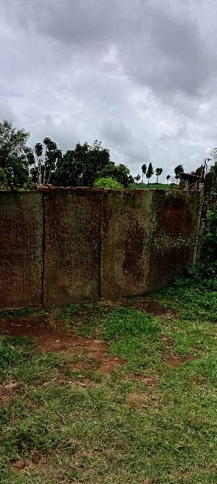 The image displays an outdoor scene in Gatakaine, Kenya, under an overcast, light grey sky. A weathered, multi-panel wall, constructed of dark, discolored concrete or masonry, occupies the midground. Its surface exhibits extensive reddish-brown staining, moisture marks, and textural irregularities. The wall's upper edge is horizontally level. The foreground consists of an uneven ground surface covered by patchy green grass, intermixed with exposed areas of reddish-brown soil. Behind the wall, dense green foliage and various trees are visible. Further in the background, a line of tall, slender trees with compact crowns ascends a distant contour. A faint structure featuring a reddish roof element is discernible on the far right behind the vegetation. No human or animal subjects are present, and no actions or interactions are depicted.