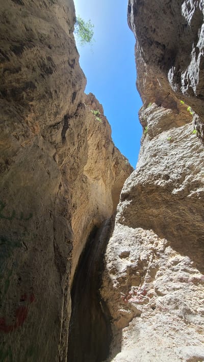 A low-angle shot inside a geological formation, possibly a canyon or a large cave, with a view of the sky. The rock formations are textured and varied in color, ranging from beige to light brown, with some darker shaded areas. Small patches of green vegetation are sparsely located on the rock faces. A tree is visible against the blue sky at the top-left. Red markings are present on the rock on the right. It is located in the city of Ziarat, Pakistan.