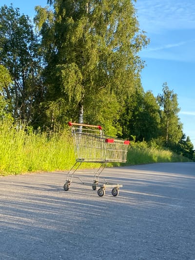 A lone, empty shopping cart sits on an asphalt road, casting long shadows in the golden afternoon light. The cart is made of silver metal with red plastic handles. It is positioned in the middle of the road, which curves slightly to the right and disappears into the distance. On the left side of the road, a dense thicket of tall, green grass and trees creates a natural barrier. Behind the grass and trees, a line of deciduous trees with lush green foliage stretches across the background. A single birch tree with white bark is visible among the deciduous trees. The sky above is a clear, bright blue with a few wispy white clouds. The scene appears to be in a rural or semi-rural area, possibly on the outskirts of a town. There are no people visible in the image. The environment suggests a warm, sunny day in a temperate climate. The image was taken in Гостцы, Russia.