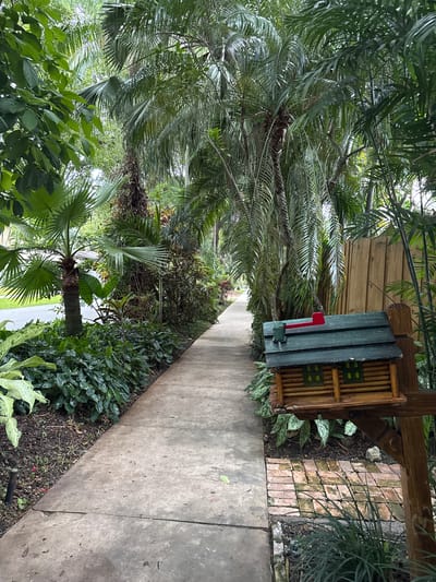 The image depicts a sidewalk lined with lush tropical foliage and palm trees, suggesting a location in a warm, humid climate such as Fort Lauderdale, Florida. On the right side of the sidewalk, a wooden mailbox designed to resemble a miniature log cabin stands beside a wooden fence. The mailbox is painted green with a red flag. The sidewalk itself is made of concrete and appears to be well-maintained, though there are some cracks visible. The surrounding vegetation is dense and varied, with large palm fronds and smaller leafy plants creating a shaded, natural environment. The overall scene evokes a sense of tranquility and natural beauty within an urban setting.