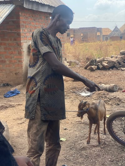 This image depicts an outdoor scene in Nev, Nigeria. A slender, dark-skinned male, appearing middle-aged or elderly, stands in the foreground, facing right in profile. He wears a short-sleeved patterned tunic with gold, brown, and red motifs on a dark background, and soiled brown trousers. His right arm is extended, index finger pointing downwards towards the ground. To his right, a small, light brown goat with short horns and a goatee stands tethered by a blue rope around its neck.

The ground is dry, reddish-brown dirt. Behind the man, an unfinished brick structure with a corrugated metal roof is visible. Further in the background, sparse dry vegetation, a pile of cut logs, another partially constructed building, and a small conical-roofed hut are present. A small area of white liquid is on the ground near where the man is pointing. A partial view of a bicycle or motorcycle wheel is visible on the far right. In the distant background, two human figures are faintly visible, one carrying an item on their head. A dark-skinned arm belonging to an unseen person is partially visible in the bottom left foreground. The sky is hazy blue with scattered clouds, indicating daylight.