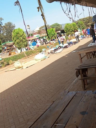 The image displays an active outdoor market scene in Mukuyuni, Kenya, under clear daylight.
In the foreground, a partial view of a weathered wooden structure, likely a stall or bench made of unpainted planks, occupies the lower right. The ground directly in front is paved with light-colored interlocking bricks, across which a distinct, diagonal shadow is cast from the upper left. A raised median or planter strip, featuring green foliage and two small, distinctive trees with dense, rounded, light-green canopies, runs parallel to the paved area. On the paved surface, several light-colored sacks are present, one positioned on a woven mat.
The mid-ground reveals a bustling market area with approximately two dozen individuals, predominantly adults, scattered across an unpaved or dirt surface. These individuals are observed standing, walking, and browsing merchandise. Numerous items, primarily textiles and articles of clothing, are displayed directly on the ground or on mats for sale. Several temporary market stalls with light-colored fabric coverings are visible among the vendors and shoppers.
The background features additional trees, a prominent white building with a dome-shaped roof, and a tall water tower with a tank at its top. Distant hills are visible beneath a clear blue sky. The upper portion of the image shows an overhead structure, possibly an awning or roof, with various strings or fabric strips hanging down.