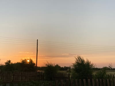A low-angle, full shot captures a rustic scene at dusk in Rakity, Russia. The sky is a gradient of pale blue at the top, transitioning to a soft orange and yellow hue near the horizon, indicative of sunset. A wooden pole stands prominently on the right, with three parallel electrical wires stretching horizontally across the frame above it.
In the middle ground, a dense line of dark green trees forms a natural backdrop, with the sun partially obscured behind the foliage on the left, casting a warm glow. A rough-hewn wooden fence runs along the bottom of the image, creating a distinct foreground. Behind the fence, the ground is covered with green foliage, some of which appears to be small plants. The overall impression is one of a rural landscape at the end of the day.