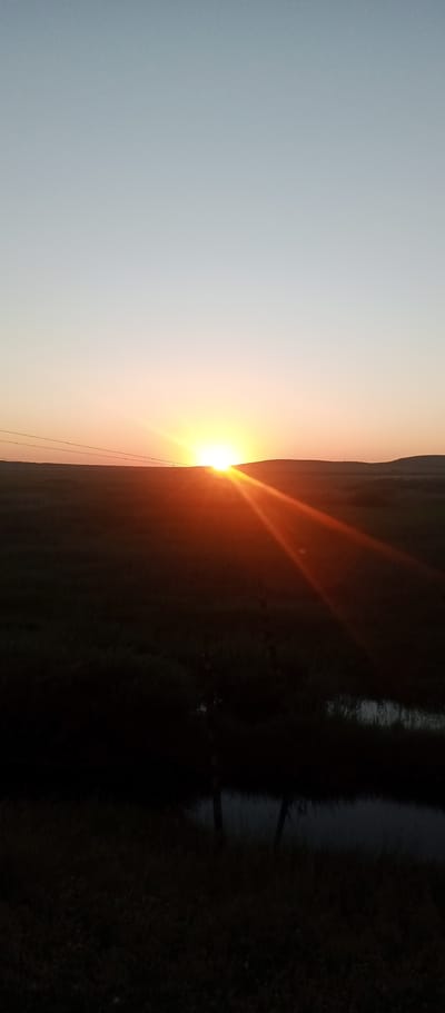 A vertical photograph captures a sunset over a rural landscape in Marinovka, Kazakhstan. The sun, a bright orb, is just beginning to dip below the horizon, casting a warm, orange glow across the sky. Sunbeams radiate outwards from the sun, creating a lens flare effect. In the foreground, a dark, grassy field stretches out, with a small body of water, likely a pond or ditch, visible in the lower portion of the frame. A few fence posts are sparsely scattered throughout the field, adding to the rustic feel of the scene. The sky transitions from a light blue at the top to a soft orange near the horizon, indicating the late hour of the day. The overall mood is serene and peaceful, conveying the quiet beauty of a country sunset. There is no visible text in the image.