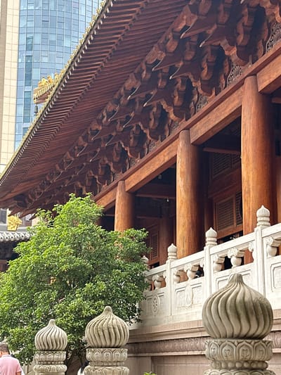 In Jing'an District, China, a close-up, eye-level, outdoor shot captures the intricate architectural details of a traditional wooden structure. The elaborate wooden eaves, adorned with carved brackets and decorative elements, dominate the upper half of the frame. The rich, reddish-brown wood contrasts with the cool blue glass of a modern skyscraper visible in the background, creating a juxtaposition of old and new. In the foreground, a vibrant green tree provides a lush organic element. A white stone balustrade, featuring decorative carvings and ornate finials resembling lotus buds, spans the mid-ground. A few stone statues are visible on top of the balustrade. The lower left corner shows the back of a person wearing a pink shirt, and another person partially visible in the background. The overall lighting suggests an overcast day.