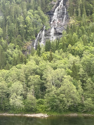 The image depicts a natural landscape with a waterfall cascading down a rocky cliff face. The waterfall is a prominent feature, with white water flowing over dark, textured rocks, creating streaks of white against the dark stone. Surrounding the cliff and waterfall is a dense forest composed of various shades of green trees. The trees are lush and full, with some appearing to be conifers and others deciduous.
To the right of the forest and cliff, a body of water is visible. This water is dark and reflects the greenery of the surrounding trees and the sky, suggesting it is a calm lake or slow-moving river. The edge of the water features a rocky shoreline with scattered stones.
The scene appears to be outdoors in a natural, possibly mountainous or fjord-like environment, given the description of Grong, Norway. The lighting suggests it is daytime, with the sun illuminating the scene and creating highlights on the water and foliage. The overall mood is one of natural beauty and tranquility. There are no people or man-made objects clearly visible in the frame, emphasizing the wildness of the location. The time of day appears to be midday or afternoon, given the brightness of the scene. The weather seems clear, as indicated by the sunlight and reflections.