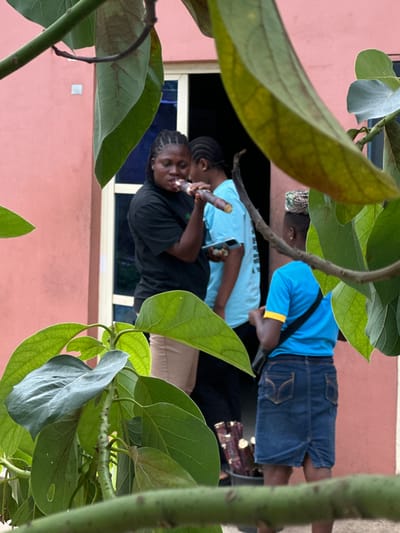 The media file shows three people, two adults and one child, in an outdoor setting in Ganyingbo, Nigeria. The image is oriented vertically. Two adults and a child are looking out of a window. The child is holding a piece of sugarcane, and the adults appear to be talking to the child. One adult is wearing a blue shirt and denim shorts, and the other adult is wearing a black t-shirt and tan pants. The child is wearing a light blue shirt and has braided hair. The background consists of a pink wall and a window with blue glass. The image is partially obscured by green leaves, suggesting it was taken from behind a plant. The lighting is natural, indicating it is daytime.